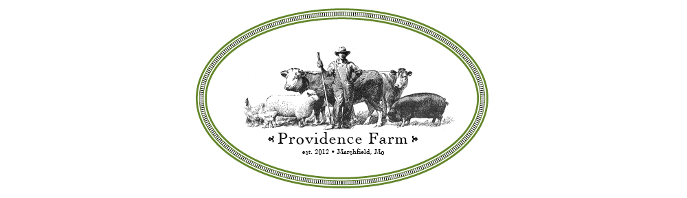 Providence Farm